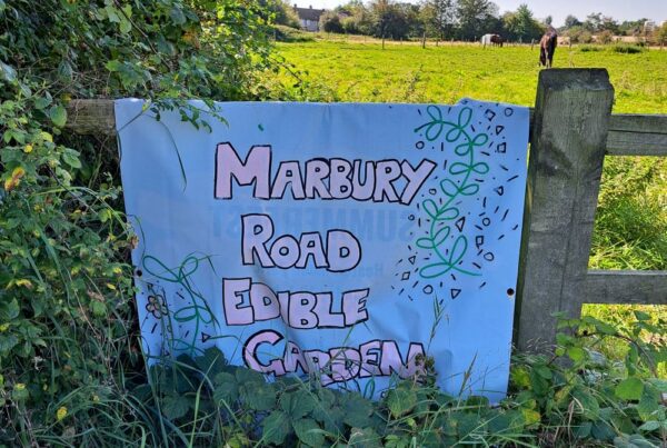 A picture of sunny fields with horses in the distance. There is a sign in the foreground tied to a wooden gate that reads Marbury road edible garden